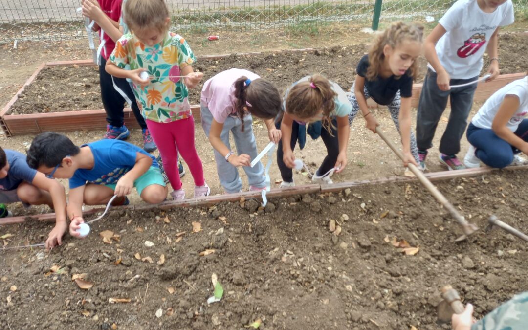 LA CLASE DE SEGUNDO EN EL HUERTO